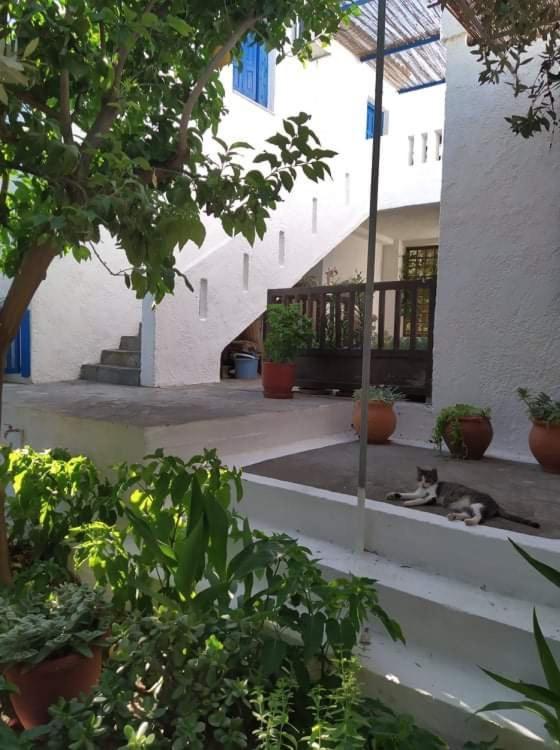 Stamoulis Apartments Kampos Marathokampou Zewnętrze zdjęcie
